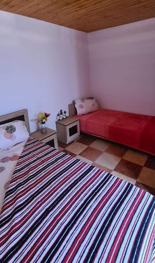 Casa Roko Hotel Sfântu Gheorghe Buitenkant foto